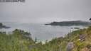 ./images/calvert/foggy-cove/20260813/foggy-cove20260813_104501M.jpg