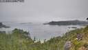./images/calvert/foggy-cove/20260813/foggy-cove20260813_105002M.jpg