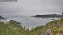 ./images/calvert/foggy-cove/20260813/foggy-cove20260813_110501M.jpg