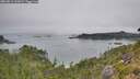 ./images/calvert/foggy-cove/20260813/foggy-cove20260813_112001M.jpg