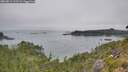 ./images/calvert/foggy-cove/20260813/foggy-cove20260813_112502M.jpg
