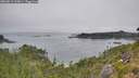 ./images/calvert/foggy-cove/20260813/foggy-cove20260813_113001M.jpg