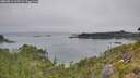 ./images/calvert/foggy-cove/20260813/foggy-cove20260813_113501M.jpg