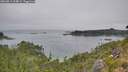 ./images/calvert/foggy-cove/20260813/foggy-cove20260813_114001M.jpg