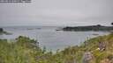 ./images/calvert/foggy-cove/20260813/foggy-cove20260813_120001M.jpg
