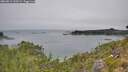 ./images/calvert/foggy-cove/20260813/foggy-cove20260813_120502M.jpg