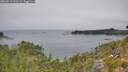 ./images/calvert/foggy-cove/20260813/foggy-cove20260813_123501M.jpg