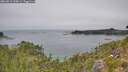 ./images/calvert/foggy-cove/20260813/foggy-cove20260813_124001M.jpg