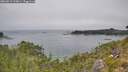 ./images/calvert/foggy-cove/20260813/foggy-cove20260813_125001M.jpg