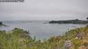 ./images/calvert/foggy-cove/20260813/foggy-cove20260813_125502M.jpg