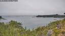 ./images/calvert/foggy-cove/20260813/foggy-cove20260813_130501M.jpg