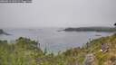 ./images/calvert/foggy-cove/20260813/foggy-cove20260813_133502M.jpg