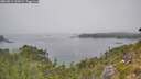 ./images/calvert/foggy-cove/20260813/foggy-cove20260813_135001M.jpg