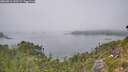 ./images/calvert/foggy-cove/20260813/foggy-cove20260813_140501M.jpg