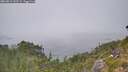 ./images/calvert/foggy-cove/20260813/foggy-cove20260813_143501M.jpg