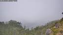 ./images/calvert/foggy-cove/20260813/foggy-cove20260813_144002M.jpg