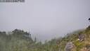 ./images/calvert/foggy-cove/20260813/foggy-cove20260813_144502M.jpg