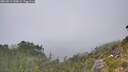 ./images/calvert/foggy-cove/20260813/foggy-cove20260813_145001M.jpg