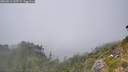 ./images/calvert/foggy-cove/20260813/foggy-cove20260813_145501M.jpg