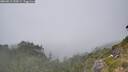 ./images/calvert/foggy-cove/20260813/foggy-cove20260813_150001M.jpg