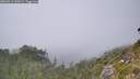 ./images/calvert/foggy-cove/20260813/foggy-cove20260813_150501M.jpg