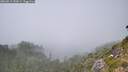 ./images/calvert/foggy-cove/20260813/foggy-cove20260813_151001M.jpg