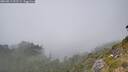 ./images/calvert/foggy-cove/20260813/foggy-cove20260813_151501M.jpg