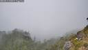 ./images/calvert/foggy-cove/20260813/foggy-cove20260813_152001M.jpg