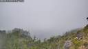 ./images/calvert/foggy-cove/20260813/foggy-cove20260813_152501M.jpg