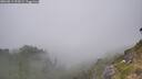 ./images/calvert/foggy-cove/20260813/foggy-cove20260813_153001M.jpg