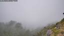 ./images/calvert/foggy-cove/20260813/foggy-cove20260813_153501M.jpg