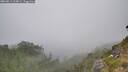 ./images/calvert/foggy-cove/20260813/foggy-cove20260813_154001M.jpg