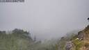 ./images/calvert/foggy-cove/20260813/foggy-cove20260813_154502M.jpg