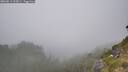 ./images/calvert/foggy-cove/20260813/foggy-cove20260813_155001M.jpg