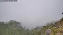 ./images/calvert/foggy-cove/20260813/foggy-cove20260813_155502M.jpg