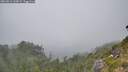 ./images/calvert/foggy-cove/20260813/foggy-cove20260813_160002M.jpg