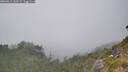 ./images/calvert/foggy-cove/20260813/foggy-cove20260813_160501M.jpg