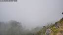 ./images/calvert/foggy-cove/20260813/foggy-cove20260813_161001M.jpg