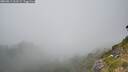 ./images/calvert/foggy-cove/20260813/foggy-cove20260813_161501M.jpg
