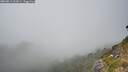./images/calvert/foggy-cove/20260813/foggy-cove20260813_162001M.jpg