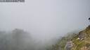 ./images/calvert/foggy-cove/20260813/foggy-cove20260813_162501M.jpg