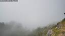 ./images/calvert/foggy-cove/20260813/foggy-cove20260813_163001M.jpg