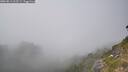 ./images/calvert/foggy-cove/20260813/foggy-cove20260813_163501M.jpg