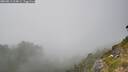 ./images/calvert/foggy-cove/20260813/foggy-cove20260813_164001M.jpg