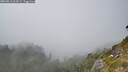 ./images/calvert/foggy-cove/20260813/foggy-cove20260813_164501M.jpg