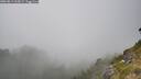 ./images/calvert/foggy-cove/20260813/foggy-cove20260813_165001M.jpg