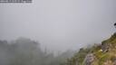 ./images/calvert/foggy-cove/20260813/foggy-cove20260813_165501M.jpg