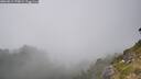 ./images/calvert/foggy-cove/20260813/foggy-cove20260813_170001M.jpg