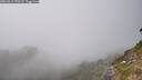 ./images/calvert/foggy-cove/20260813/foggy-cove20260813_170501M.jpg