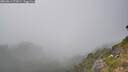 ./images/calvert/foggy-cove/20260813/foggy-cove20260813_171001M.jpg